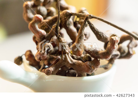 Hovenia fruit Hovenia fruit 42627343