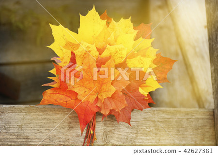 Bouquet of autumn maple leaves  42627381