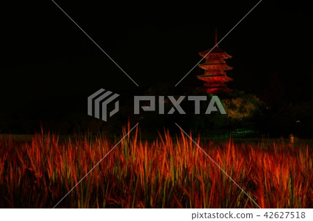 Bikkan Kokubunji五層塔燈和紅米飯 42627518