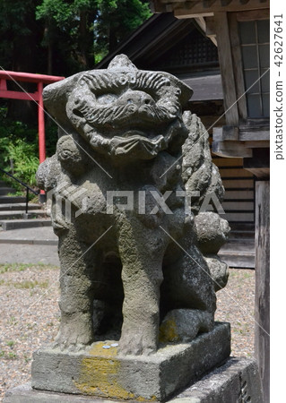弘前在夏天,Oguriyama神社的守護犬 弘前在夏天,Oguriyama神社的守護犬 42627641