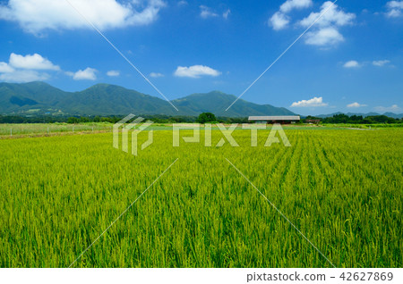夏季的高原（Kayabo Observatory Resting Place） 42627869