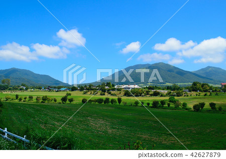 夏天的和歌山高原 42627879