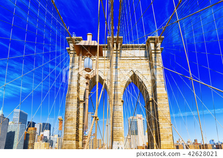 New York, USA,  Brooklyn Bridge  42628021