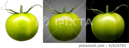 Group of green tomatoes isolated on different Group of green tomatoes isolated on different 42628783