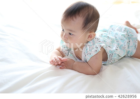 Baby (9 months) Baby (9 months) 42628956