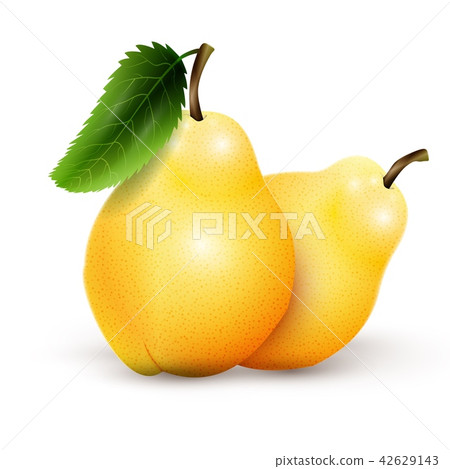 Two yellow pears isolated on white background 42629143