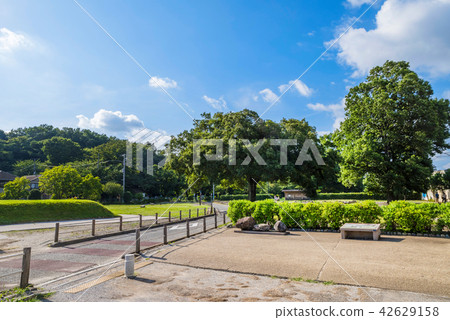 Kokubunji city Musashi Kokubun nun temple ruins 42629158
