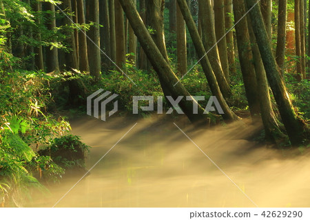 Ushidogawa River in summer Ushidogawa River in summer 42629290