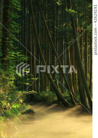 Ushidogawa River in summer Ushidogawa River in summer 42629291