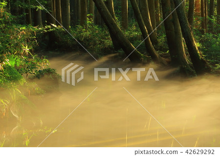 Ushidogawa River in summer Ushidogawa River in summer 42629292