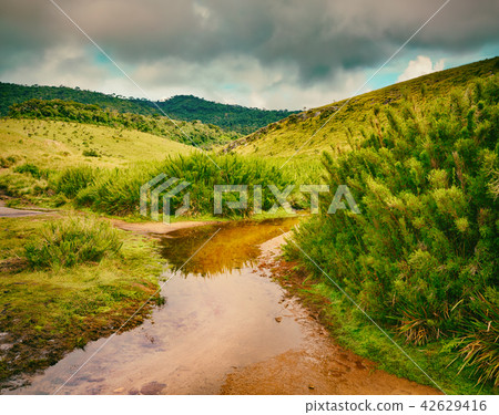 The Horton Plains. Beautiful landscape. Sri lanka The Horton Plains. Beautiful landscape. Sri lanka 42629416