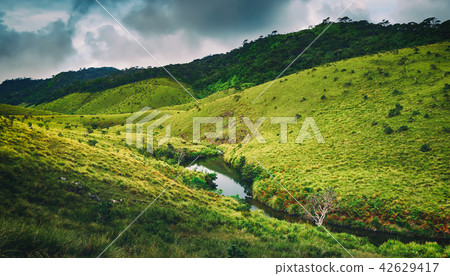 The Horton Plains.Sri lanka panorama The Horton Plains.Sri lanka panorama 42629417