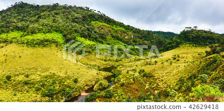 The Horton Plains. Beautiful landscape. panorama The Horton Plains. Beautiful landscape. panorama 42629418
