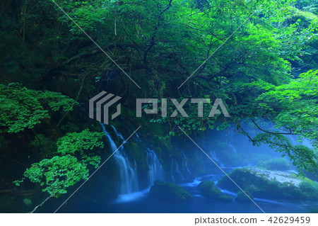 夏天前瀑布水下的水 42629459