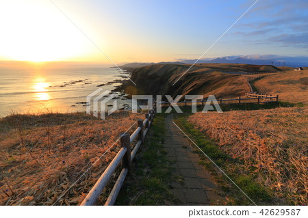 Arimashinomi dyed in sunset 42629587