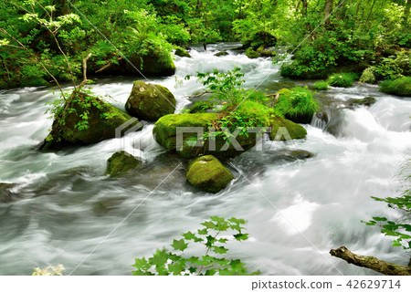 Oirase流 Oirase流 42629714