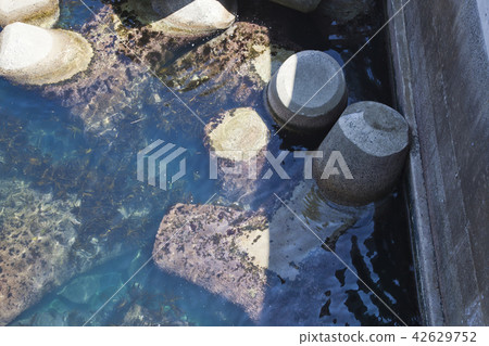 島根縣小樽鎮海岸 島根縣小樽鎮海岸 42629752