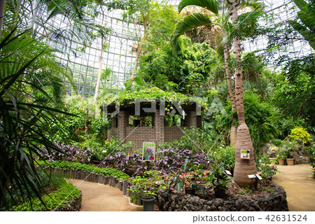 greenhouse greenhouse 42631524