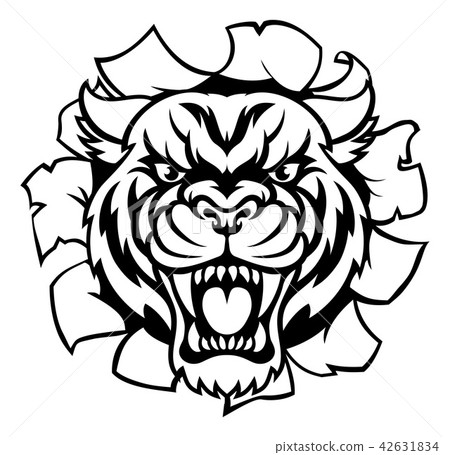 Tiger Background Breakthrough 42631834