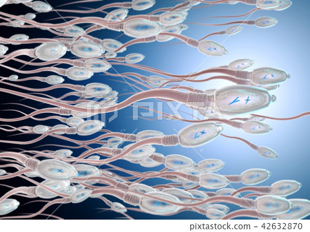 3d illustration of sperm cells moving to the right 42632870