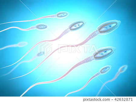 sperm cells moving to the right towards egg c 42632871