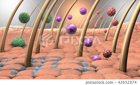 viruses and bacteria entering the human skin viruses and bacteria entering the human skin 42632874