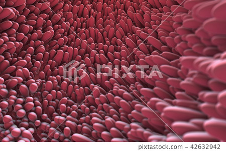 microscopic closeup of intestine villus 42632942