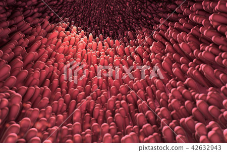 microscopic closeup of intestine villus 42632943