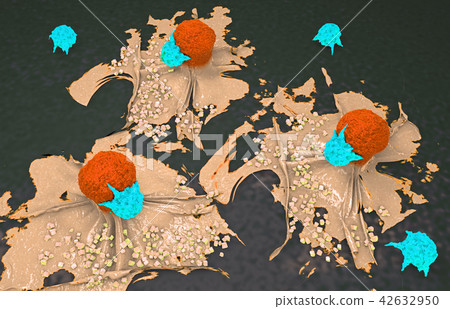 cancer cell attacked and killed by lymphocytes cancer cell attacked and killed by lymphocytes 42632950