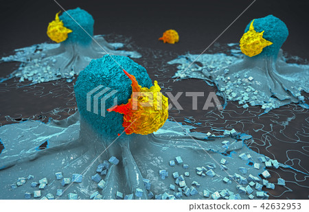 cancer cell attacked and killed by lymphocytes cancer cell attacked and killed by lymphocytes 42632953