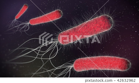 red bacteria or single cell microorganisms 42632962