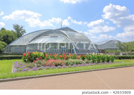 Kyoto Prefectural Botanic Garden 42633909