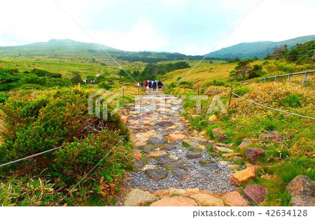 漢拏山看法在濟州海島 42634128