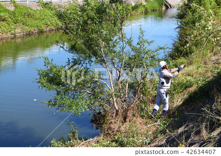 Logging and cutting of trees in rivers 42634407