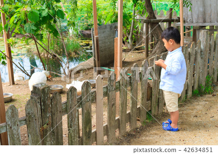 A boy feeding a duck 42634851