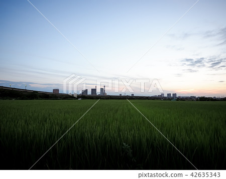 夏天的黃昏和埼玉縣的新市中心 夏天的黃昏和埼玉縣的新市中心 42635343