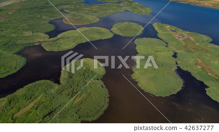 Danube Delta, Romania 42637277