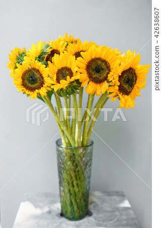 Bouquet of yellow sunflowers , flower in vase on old vintage table. Room morning. Gray background 42638607