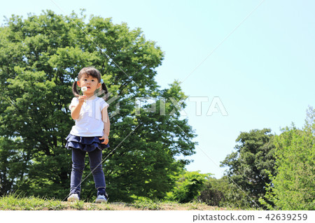 Infant (3 years old) blowing dandelion and blue sky Infant (3 years old) blowing dandelion and blue sky 42639259