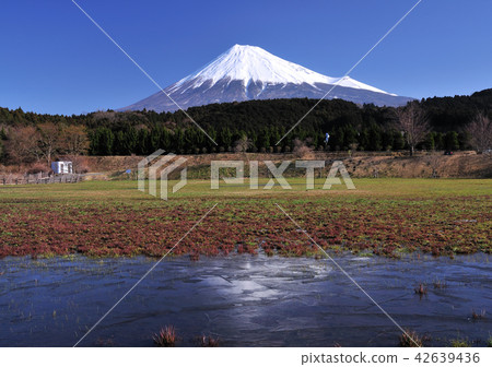 來自Oobuchi公園的富士山 -  7032 42639436