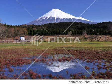 從Oobuchi Park Fuji-7036顛倒過來 42639437