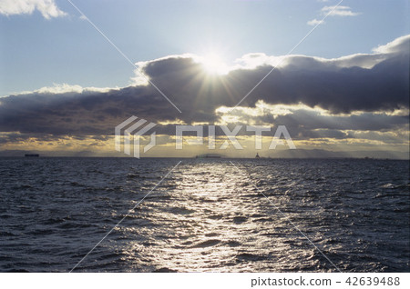光與影的海 42639488