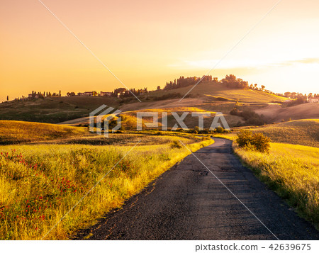 Evening landscape of Tuscany with curvy aspalt road, Italy 42639675