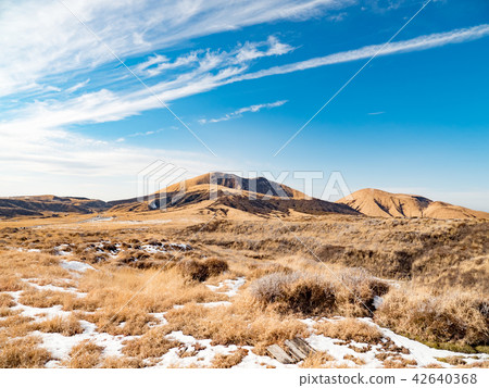 Aso NakadakeAsoGoryō 42640368