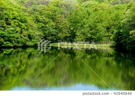 新反射的水面的風景 新反射的水面的風景 42640840