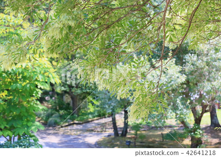 模擬鱈魚子 42641218