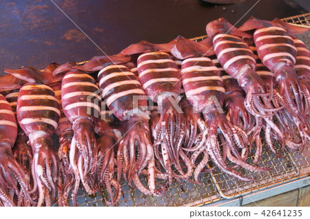 魷魚魷魚 魷魚魷魚 42641235