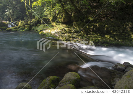 風景 42642328
