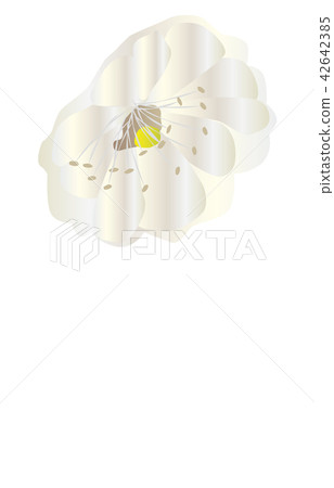 Prefectural Flower Simple Oita Bungo ume 42642385
