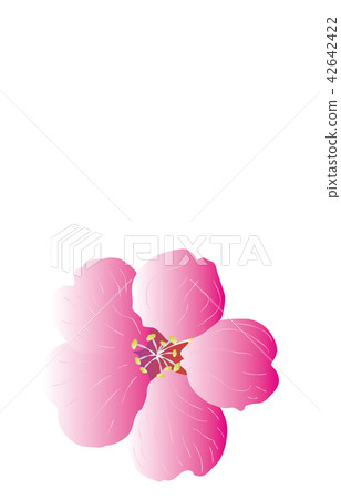 Prefecture Flower Simple Tochigi Yashiro Azalea - Stock Illustration  [42642422] - PIXTA